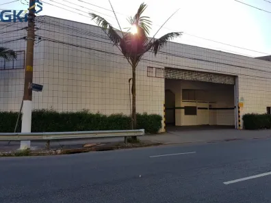 Galpão/Depósito/Armazém para alugar, 350m² no Vila Ribeiro de Barros, São Paulo