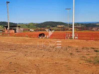 Fazenda/Sítio com 1 Quarto à venda, 750200m² no Jardim Menegazzo, Apucarana
