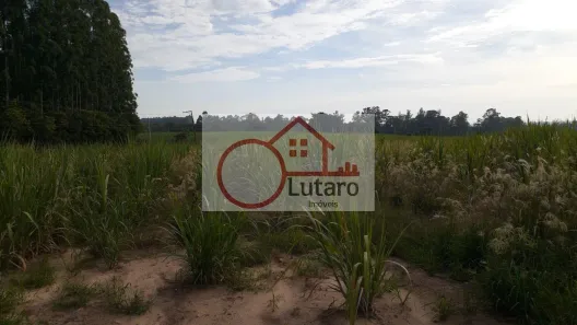 Fazenda/Sítio à venda, 271040m² no Elias Fausto, Elias Fausto