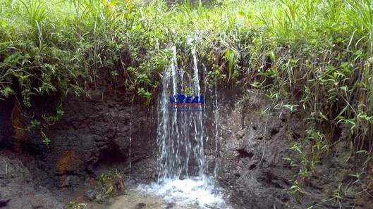 Fazenda/Sítio à venda, 250000m² no , Bonfim