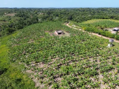com 4 Quartos à venda, 50000m² no Coutos, Ilhéus
