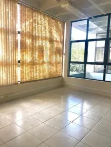 Sala Comercial com 1 Quarto à venda, 133m² no Cristo Rei, São Leopoldo