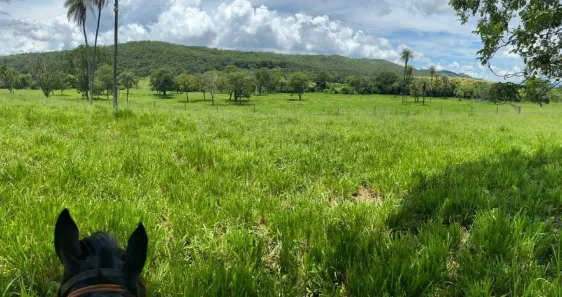 Fazenda/Sítio à venda, 195m² no Setor Bosque, Formosa