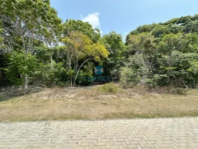 Lote/Terreno à venda, 700m² no Praia do Forte, Mata de São João