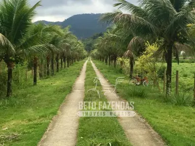 Fazenda/Sítio à venda, 459800m² no , Silva Jardim