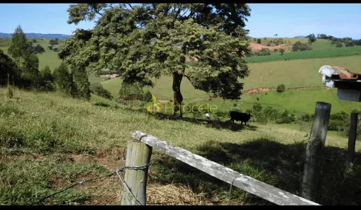 Fazenda/Sítio com 1 Quarto à venda, 10m² no , Cunha