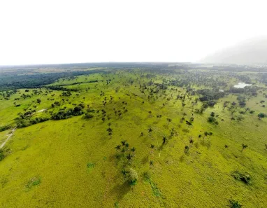 Fazenda/Sítio com 3 Quartos à venda, 70m² no Setor Central, Araguaína