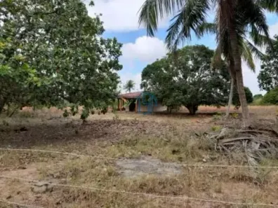 Fazenda/Sítio com 2 Quartos à venda, 10600m² no São José, Macaíba