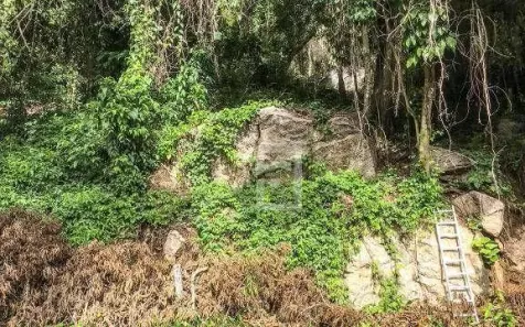 Lote/Terreno à venda, 800m² no Itanhangá, Rio de Janeiro
