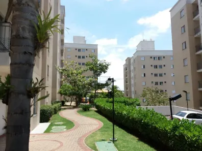 Apartamento com 2 Quartos para alugar, 47m² no Jardim Myrian Moreira da Costa, Campinas