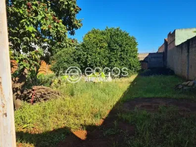 Lote/Terreno à venda, 468m² no Jardim Maracanã, Uberaba