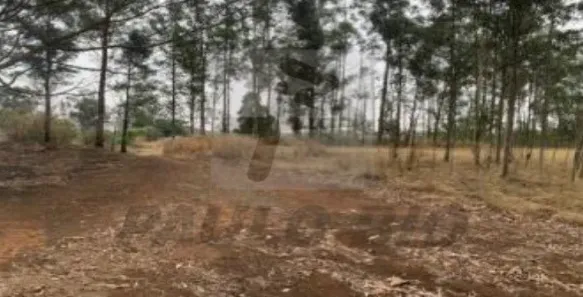 Lote/Terreno à venda, 794m² no Parque Nossa Senhora das Dores, Limeira