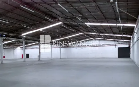 Galpão/Depósito/Armazém para alugar, 11000m² no Vila Leopoldina, São Paulo