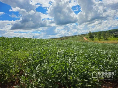 Lote/Terreno à venda, 36300m² no Zona Rural, Mandaguaçu