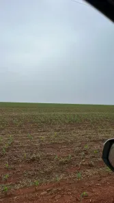Fazenda/Sítio à venda, 22466500m² no Centro, Nova Alvorada do Sul