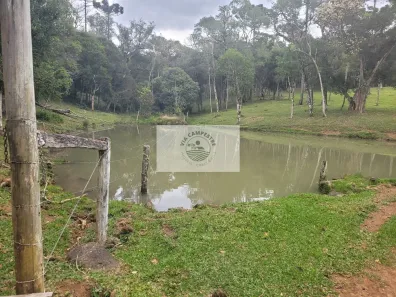 Fazenda/Sítio com 1 Quarto à venda, 30000m² no , Campo Alegre