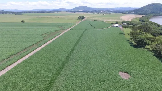 Fazenda/Sítio com 3 Quartos à venda, 1815000m² no , Irineópolis