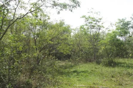 Lote/Terreno à venda, 5069m² no Venda das Pedras, Itaboraí