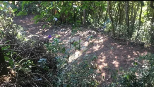 Lote/Terreno à venda, 804m² no Roseira, Mairiporã