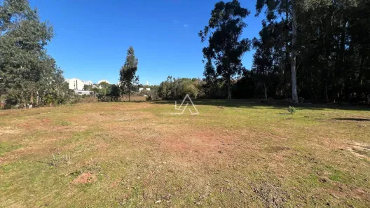 Fazenda/Sítio com 1 Quarto à venda, 5000m² no Petrópolis, Passo Fundo