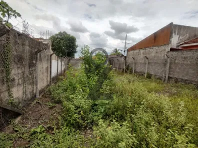 Lote/Terreno à venda, 517m² no Jardim Vânia Maria, Bauru