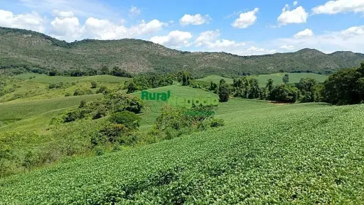 Fazenda/Sítio à venda, 1061700m² no Centro, Três Corações