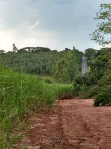 Fazenda/Sítio à venda, 973324m² no , Palestina