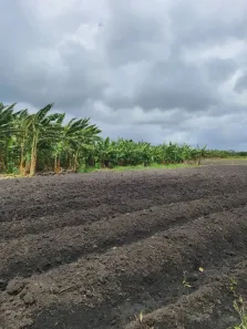 Fazenda/Sítio com 3 Quartos à venda, 2534000m² no , Rio do Fogo