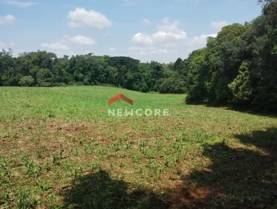 Fazenda/Sítio com 1 Quarto à venda, 12000m² no Colônia Murici, São José dos Pinhais