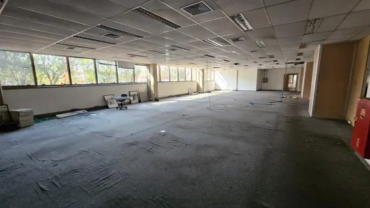 Sala Comercial para alugar, 6500m² no Vila Arapuã, São Paulo