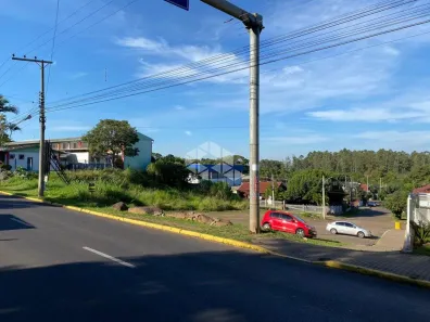 Lote/Terreno à venda, 1400m² no Cidade Nova, Ivoti