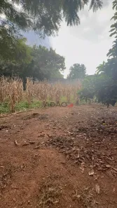 Lote/Terreno à venda, 3154m² no Setor Bueno, Goiânia