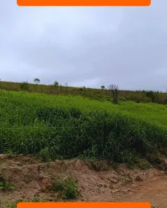 Lote/Terreno à venda, 500m² no Brotas(Caucaia do Alto), Cotia