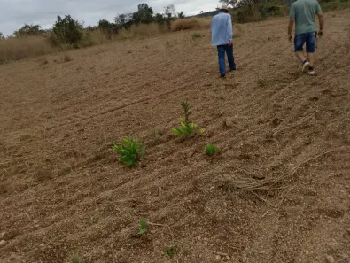 Fazenda/Sítio com 1 Quarto à venda, 230000m² no , Brasília