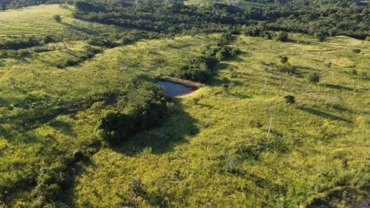 Fazenda/Sítio com 1 Quarto à venda, 96800m² no , Itapuranga