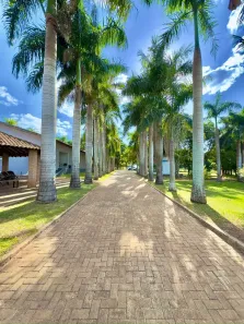 Fazenda/Sítio à venda, 116160m² no , Nipoã