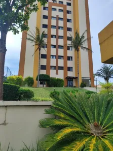 Apartamento com 3 Quartos à venda, 75m² no Vila Olivo, Valinhos