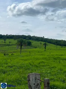 Fazenda/Sítio com 2 Quartos à venda, 10m² no Setor Inicial, São Luís de Montes Belos