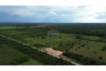 Fazenda/Sítio à venda, 980000m² no , Canutama