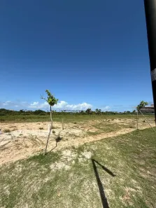 Lote/Terreno à venda, 500m² no Guarajuba (Monte Gordo), Camaçari