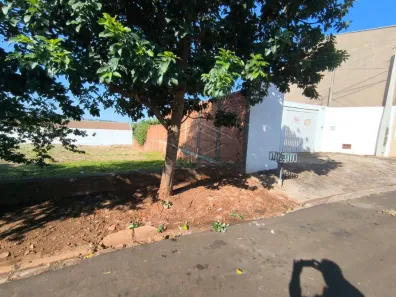 com 3 Quartos à venda, 290m² no Vila Nova, Barra Bonita