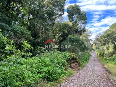 Lote/Terreno à venda, 600m² no Centro, São Francisco de Paula