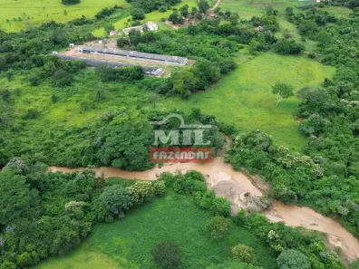 Fazenda/Sítio à venda, 20000m² no , Goiás