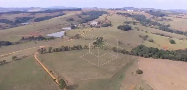 Fazenda/Sítio com 4 Quartos à venda, 870278m² no Campos Eliseos, Pardinho
