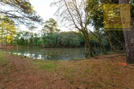 Lote/Terreno à venda, 20000m² no Jardim Florestal, Campo Largo