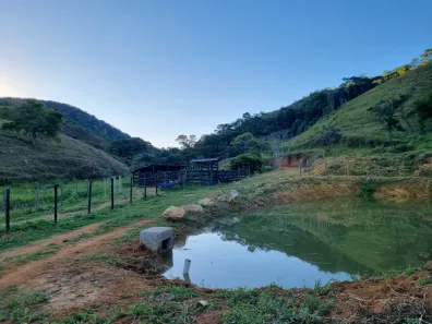 Fazenda/Sítio com 2 Quartos à venda, 104000m² no , Pequeri