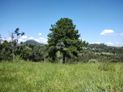 Fazenda/Sítio à venda, 11000m² no Lomba da Palmeira, Sapucaia do Sul