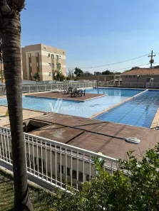 Apartamento com 2 Quartos à venda, 49m² no Jardim Recanto dos Sonhos, Sumaré