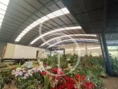 Galpão/Depósito/Armazém para alugar, 2025m² no Scharlau, São Leopoldo