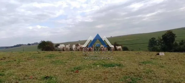 Fazenda/Sítio com 3 Quartos à venda, 133100m² no Zona Rural, Jataizinho